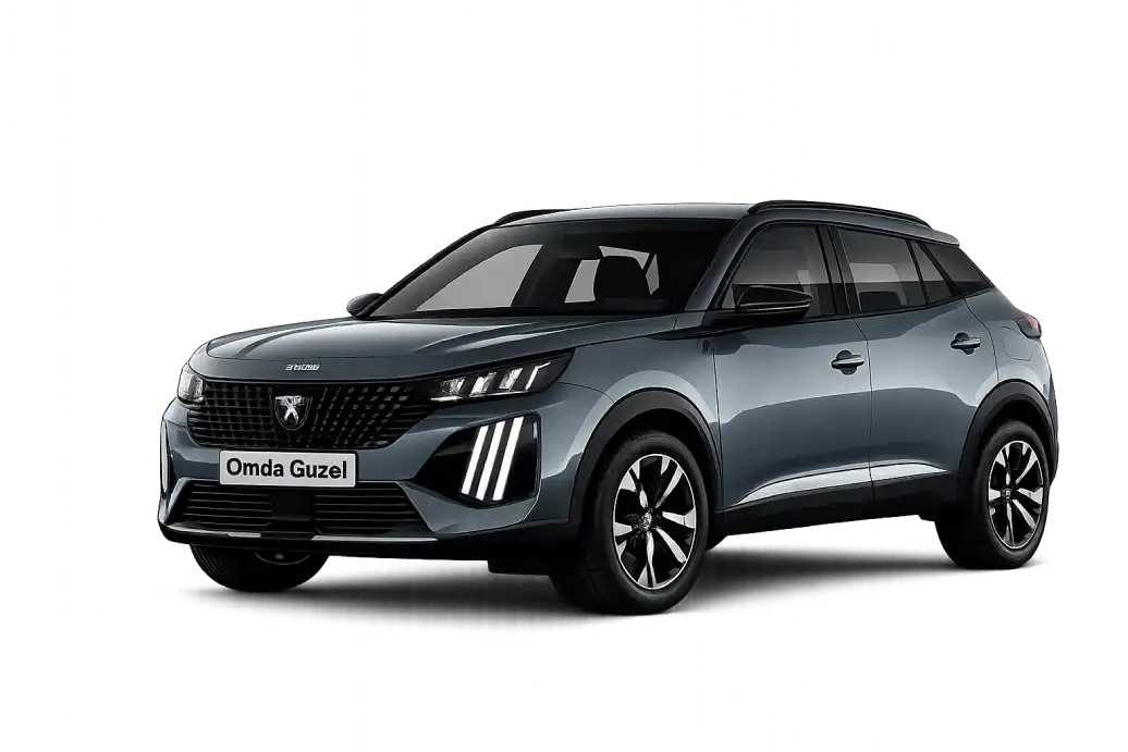 peugeot 2008 (1)